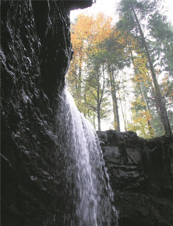 Die Hörschbachschlucht ist schon heute ein beliebtes Ausflugsziel, mit dem neuen Premiumwanderweg könnte der Zulauf noch größer werden.Archivfoto: R. Ackermann