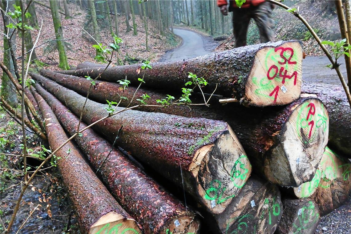Die Holzpreise haben sich stabilisiert. Das freut die Waldbesitzer und die Gemeinde. Foto: privat