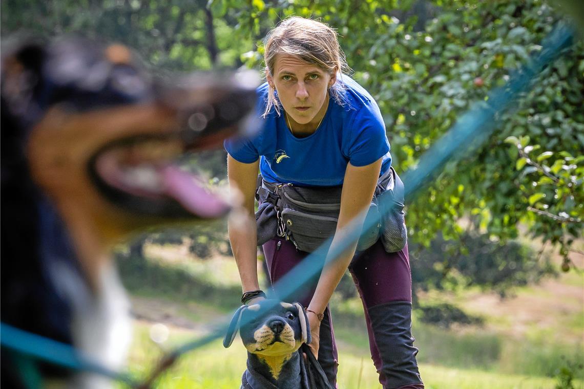 Hundehaltung im Rems-Murr-Kreis: Was tun bei aggressivem Verhalten? Die Hundetrainerin Kristin Strohmaier übt mit einem ihrer vierbeinigen Schüler und seiner Halterin eine Hundebegegnung mithilfe eines Stofftiers. Foto: Alexander Becher