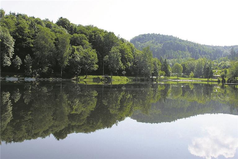 Die idyllische Lage mitten im Wald – der Fornsbacher Waldsee ist auch heute ein beliebtes Ausflugsziel. Foto: MZ-Archiv