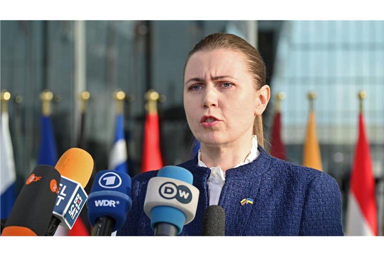 Die Informationen werden laut Litauens Verteidigungsministerin Dovile Sakaliene noch geprüft.