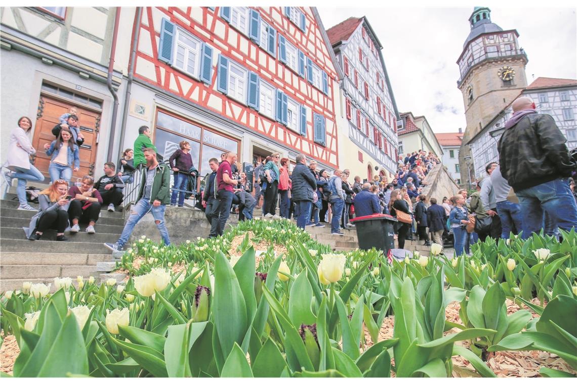 Die Innenstadt war proppenvoll. Die Menschen haben das angenehme Wetter und das allgemeine Flair beim Backnanger Tulpenfrühling genossen. Fotos: A. Becher