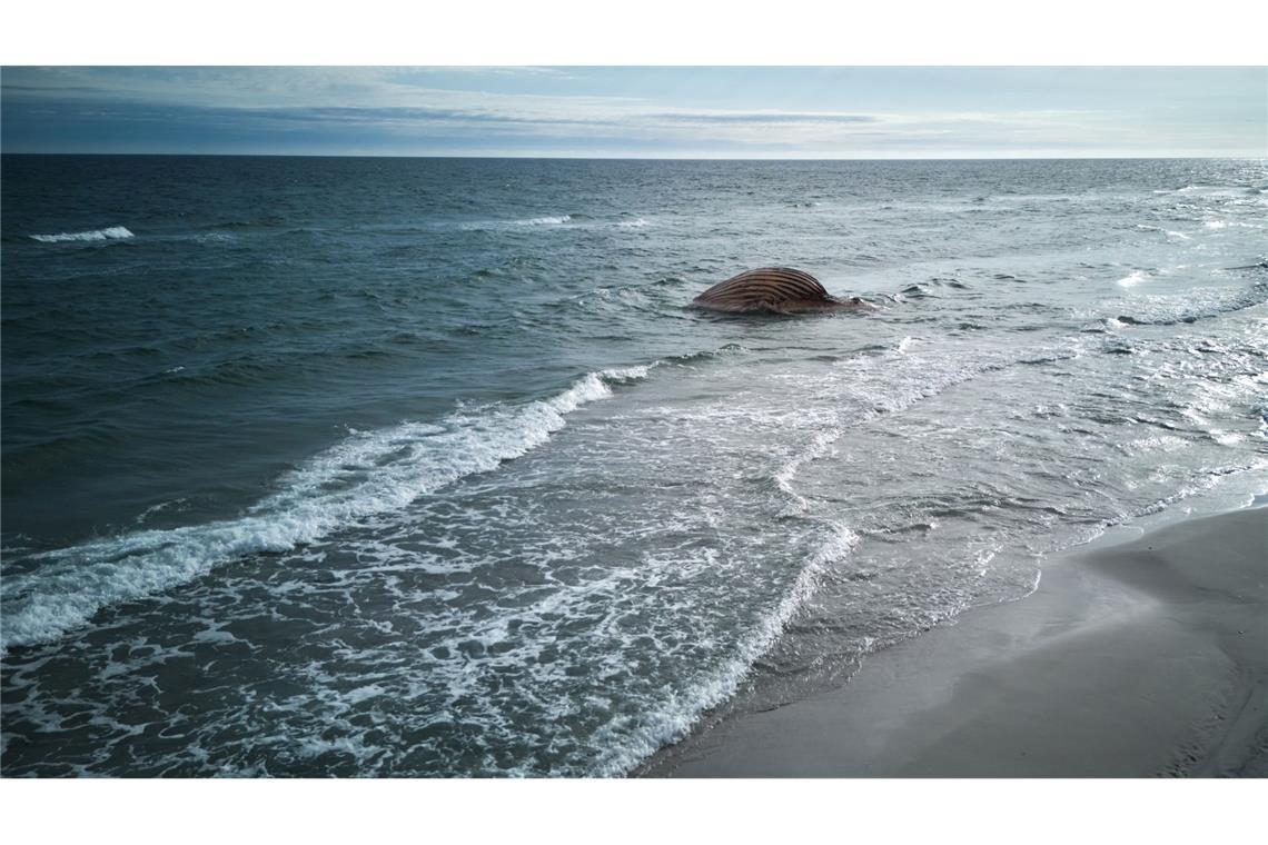 Die Insel ist ein beliebtes Urlaubsziel. Der verwesende Wal-Kadaver stört Anwohner und Badegäste. Deshalb soll er entfernt werden,