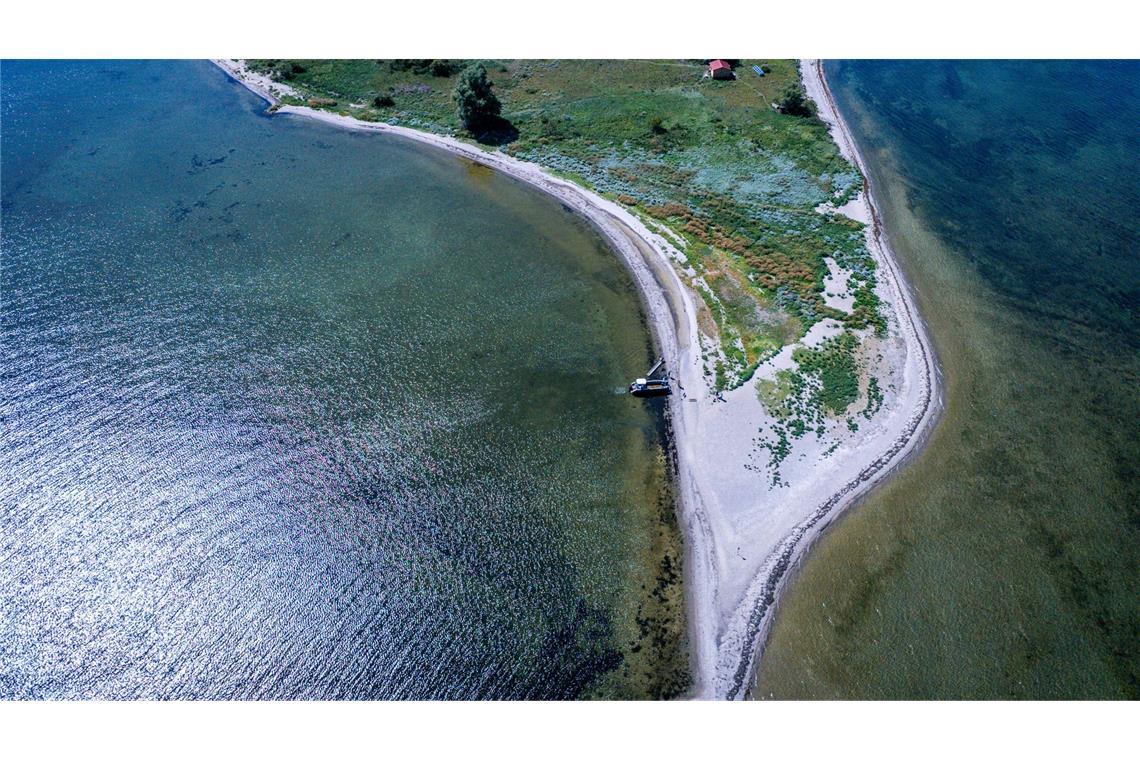 Ziegen als Landschaftspfleger auf der Vogelinsel Walfisch Die Insel Walfisch ist mit knapp neun Hektar die kleinste der drei Vogelschutzinseln in der Wismarbucht.