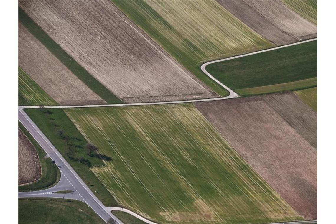 Schlechte Noten für Deutschlands Landwirtschaft Die intensive Landwirtschaft in Deutschland nimmt immer mehr Tieren den Lebensraum. Foto: Uli Deck/dpa