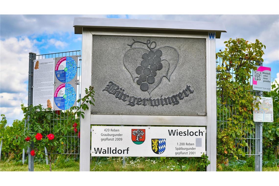 Die Jugendfeuerwehr Wiesloch hat den ersten Platz des Jugendbildungspreises „DeinDing“ erreicht (Symbolbild).