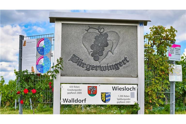 Die Jugendfeuerwehr Wiesloch hat den ersten Platz des Jugendbildungspreises „DeinDing“ erreicht (Symbolbild).