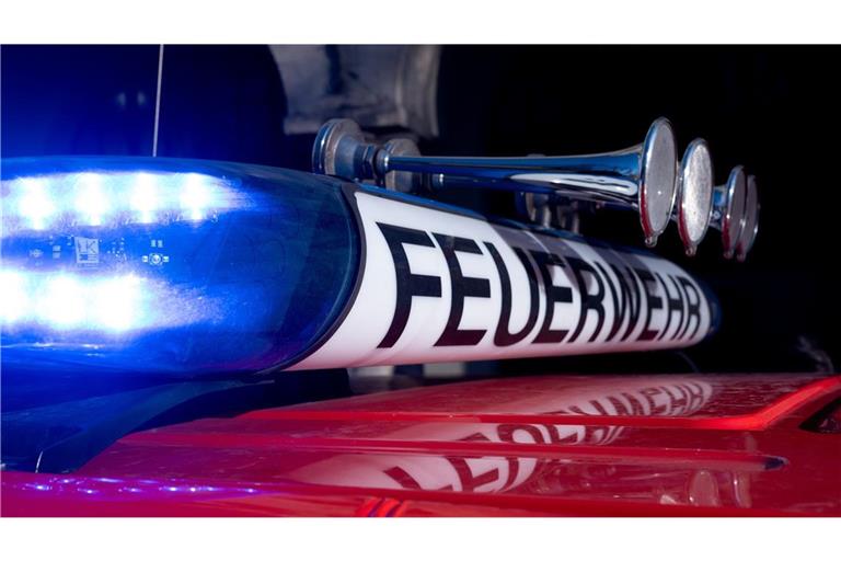 Die Jugendlichen fanden mitten in der Nacht den Weg aus unwegsamem Gelände nicht mehr (Symbolbild).