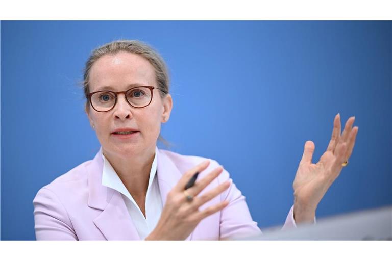 Die Juristin Frauke Brosius-Gersdorf steht nicht mehr für das Amt als Richterin am Bundesverfassungsgericht zur Verfügung. (Archivbild)