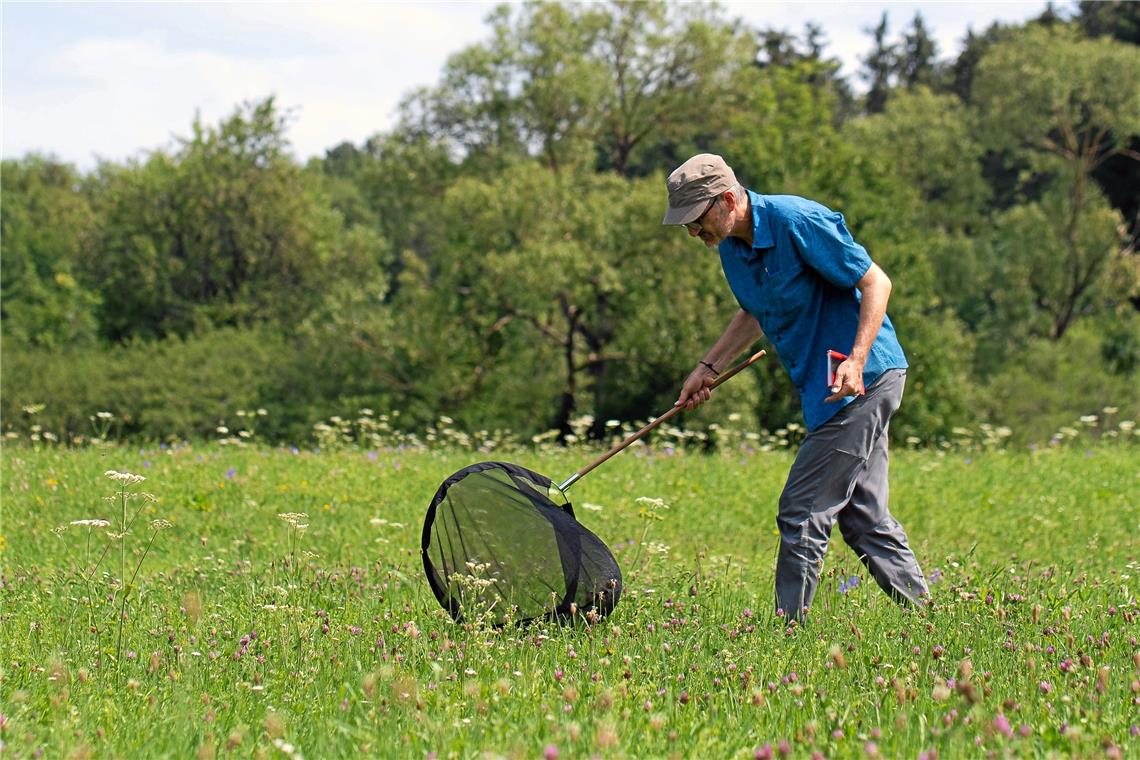 In Murrhardt flattert der Große Fuchs Die Kartierung ist aufwendig, die Experten schreiten das ausgewählte Gebiet in Linien ab. Hier ist Diplom-Biologe Andreas Nunner vom Büro Bioplan in Tübingen bei der Arbeit zu sehen. Foto: privat