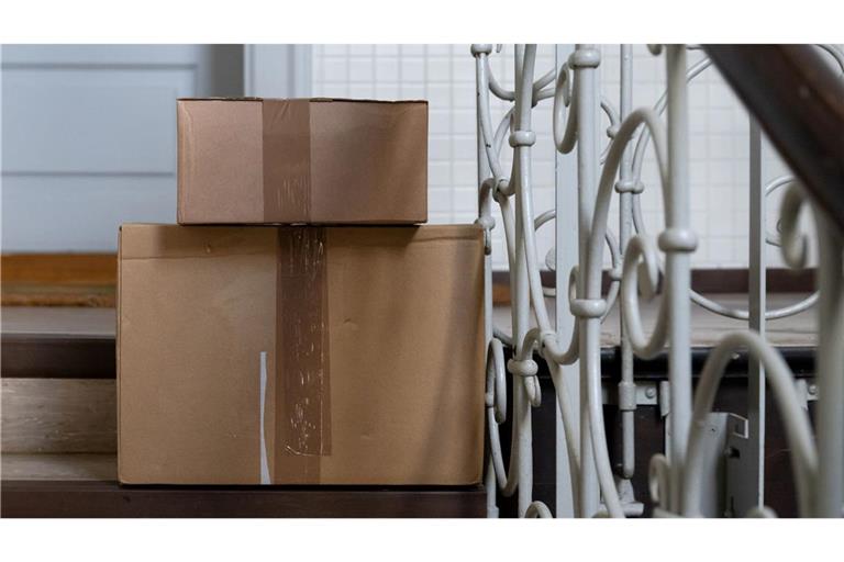 Die Katze hatte sich nach bisherigen Erkenntnissen unbemerkt in den Karton gelegt. (Symbolbild)