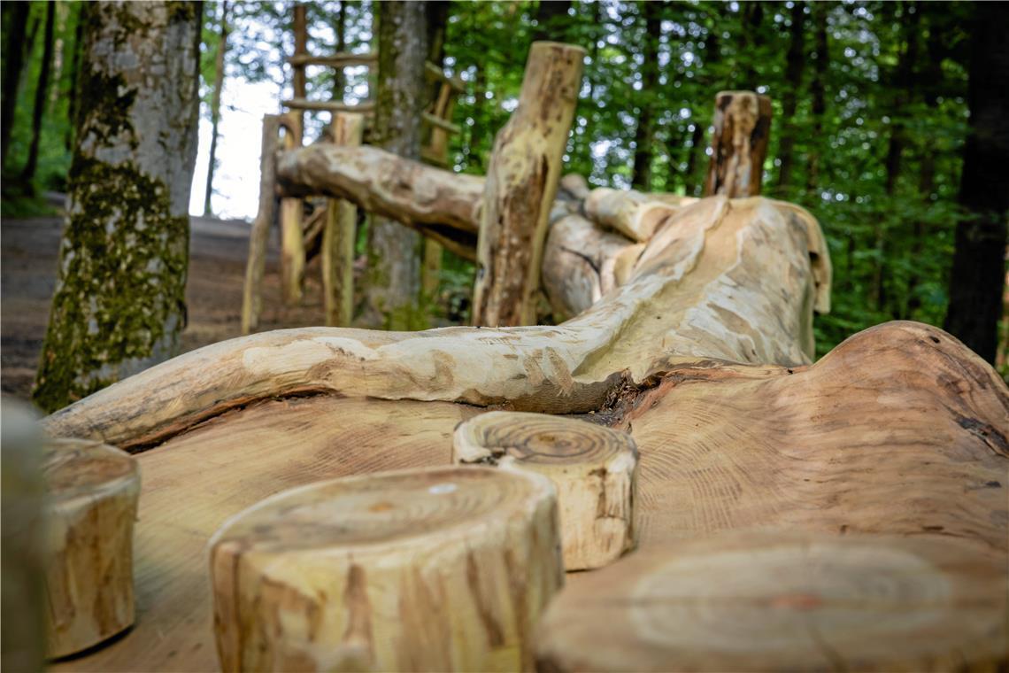 Die Murmelbahn im Plattenwald ist jetzt über 50 Meter lang Die Kinder können die Murmeln auf einem Plateau losrollen lassen. Auf dem Weg nach unten müssen die Kugeln einige Schikanen überwinden.
