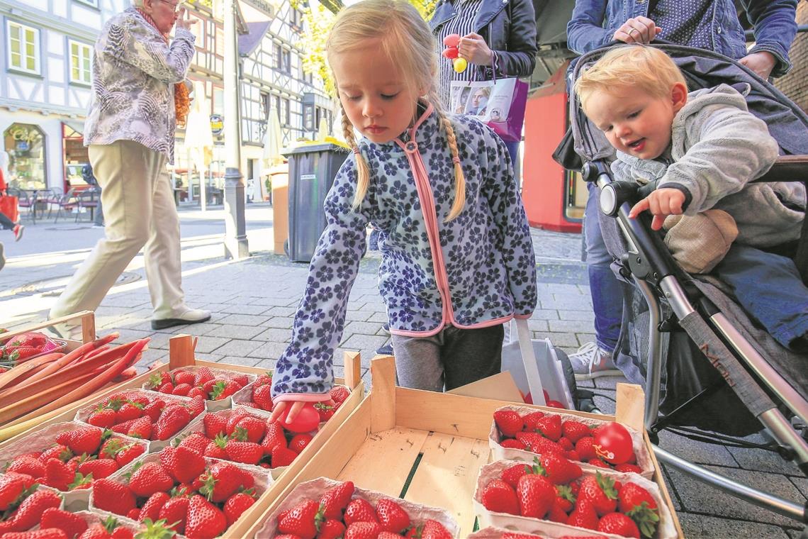 Die Kinder suchen nach den bunten Eiern im Sortiment, die Erwachsenen können solange einkaufen: Mit diesem Prinzip lockte der Ostermarkt in Backnang neue Kundschaft an. Foto: A. Becher