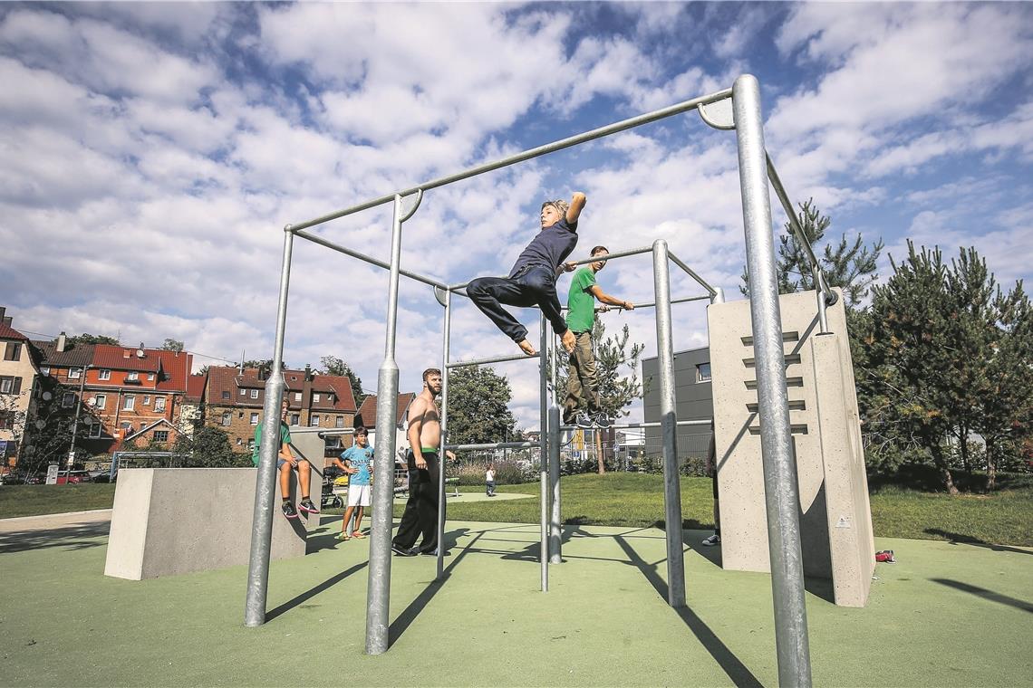 Die Kirchberger Verwaltung und der Gemeinderat wollen einen Spielplatz am Rande des Baugebiets Rappenberg bauen lassen mit Spielmöglichkeiten, die Kinder und Jugendliche faszinieren. Aus gutes Vorbild ist zum Beispiel der Annnonaygarten in Backnang. Foto: A. Becher