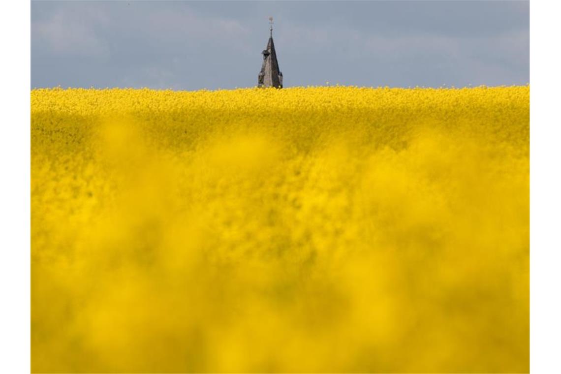 Die Kirchturmspitze der St.-Dionys-Kirche in Hotteln bei Sarstedt lugt hinter einem Rapsfeld hervor. Foto: Julian Stratenschulte/dpa/Archivbild