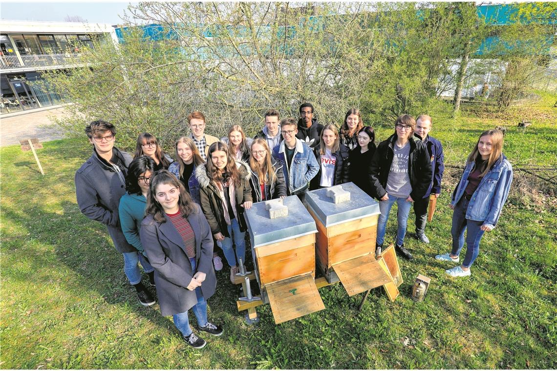 Die Klasse kümmert sich nicht nur um das Bienenvolk– sie haben unter anderem auch eine Insektenwiese angelegt. Dafür werden sie jetzt mit einem Preis ausgezeichnet. Fotos: A. Becher