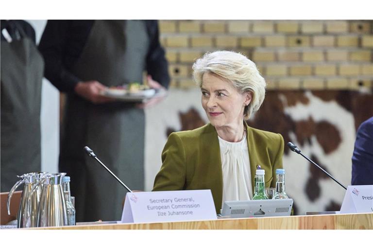 Die Kommissionspräsidentin muss sich einem Misstrauensvotum im EU-Parlament stellen.