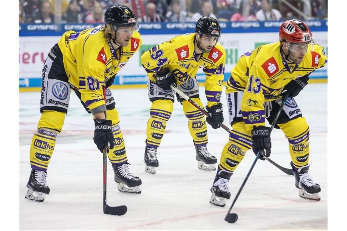 Die Krefeld Pinguine müssen wohl bald die DEL verlassen. Foto: Andreas Gora/dpa