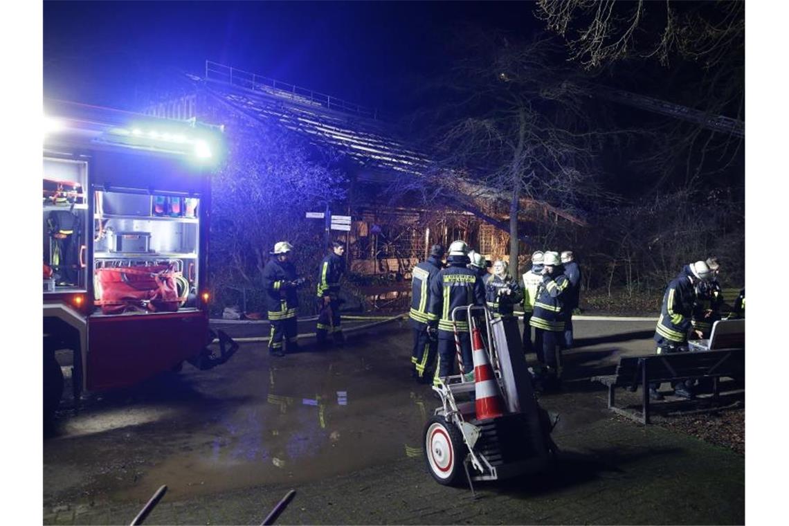 Krefelder Zoo nach Brand in Affenhaus wieder geöffnet Die Krefelder Feuerwehr bei der Arbeit. Foto: David Young/dpa