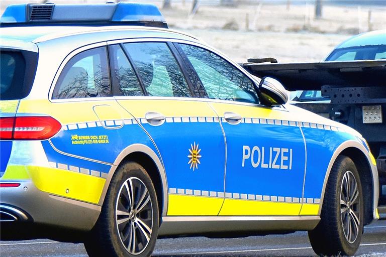 Die Kripo Waiblingen bittet um Hinweise zu den beiden Tatverdächtigen. Symbolfoto: Tobias Sellmaier