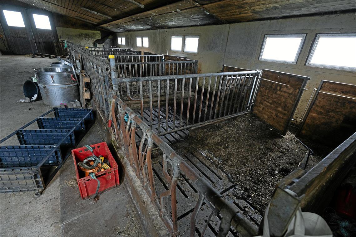 Die Kühe sind weg, den Mist hat Timo Lochers Pächter im Stall und auf einem gut gefüllten Misthaufen zurückgelassen. Fotos: Alexander Becher