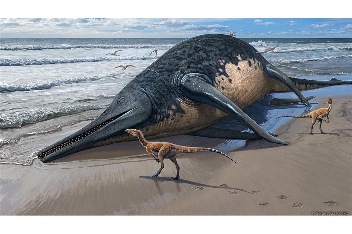 Die künstlerische Darstellung zeigt einen angeschwemmten Ichthyotitan severnensis-Kadaver am Strand.