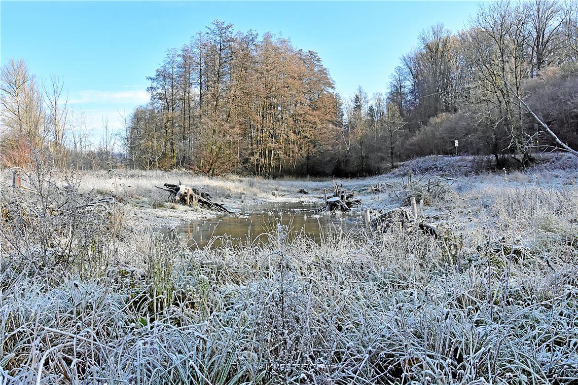 Die Landschaft zwischen Sulzbach an der Murr und Oppenweiler zeigt sich schon im November von ihrer frostigen Seite. Foto: Tobias Sellmaier
