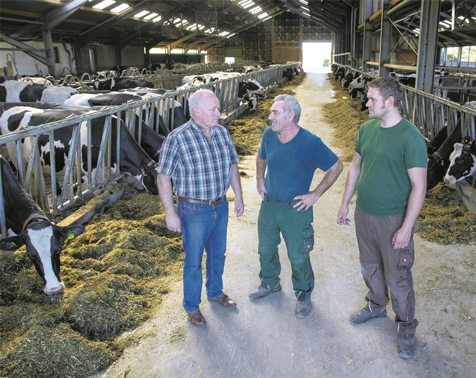 Die Landwirte Andreas Schunter, Martin Lederer und Steffen Lederer (von links) müssen nun schauen, wie sie die Auswirkungen der Trockenheit auffangen können, damit ihre Tiere auch bis zur nächsten Ernte immer genügend zu fressen haben. Foto: A. Becher