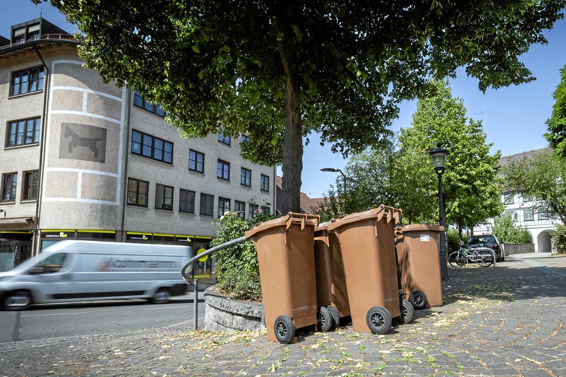 Die Leerung der Bio- und Restmülltonnen gestaltet sich vielerorts schwierig. Am Burgplatz in Backnang, aber auch in den meisten der benachbarten Kommunen werden die Tonnen aktuell nur selten pünktlich geleert.  Foto: Alexander Becher