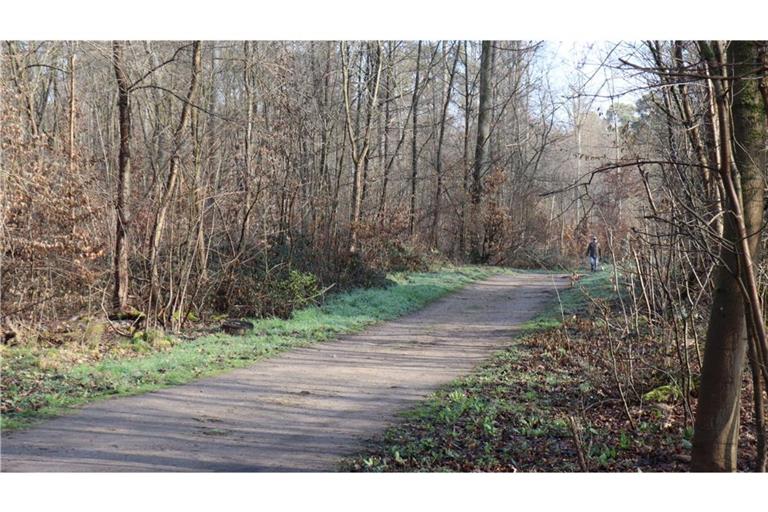 Die Leiche der 19-Jährige war vergangene Woche Mittwoch in einem Naherholungsgebiet bei Mannheim entdeckt worden. (Archivbild)