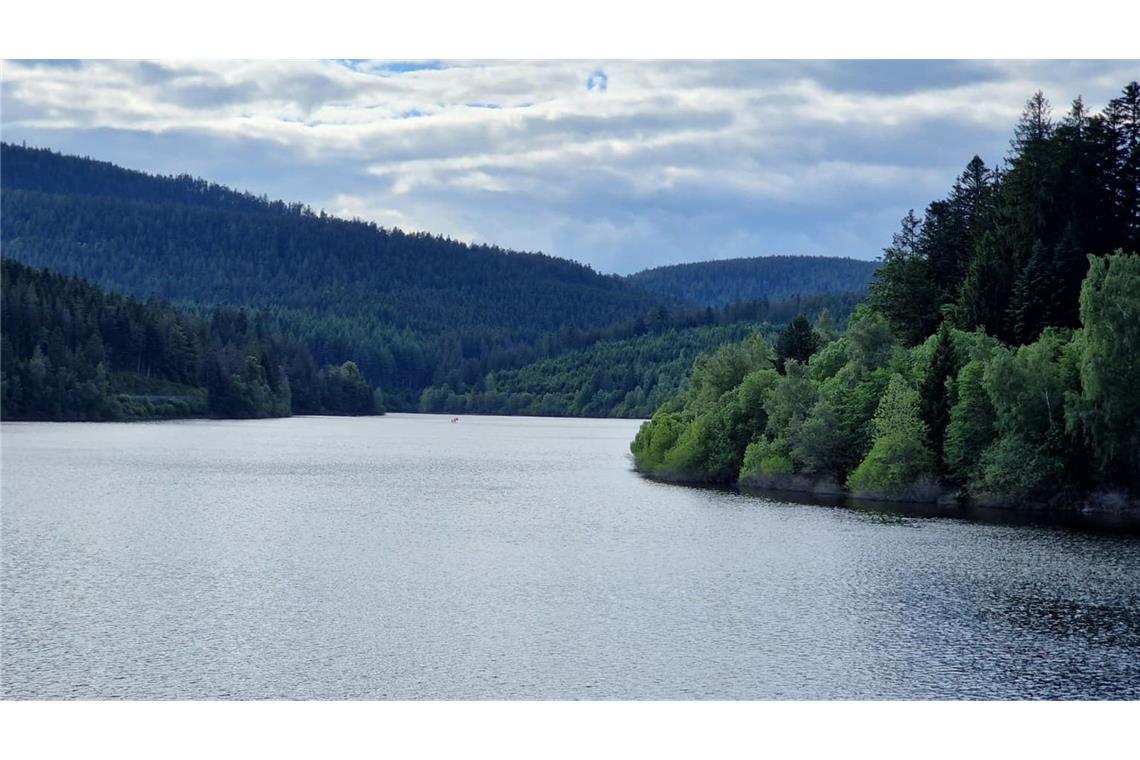 Die Leiche einer Frau haben Passanten in der Schwarzenbachtalsperre bei Forbach entdeckt. (Archivbild)
