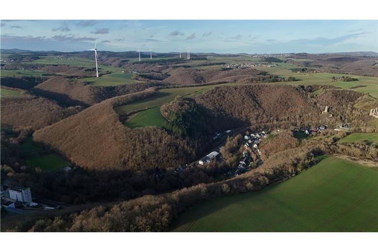 Die Leiche wurde in einem Waldstück bei Monreal entdeckt. (Archivbild)