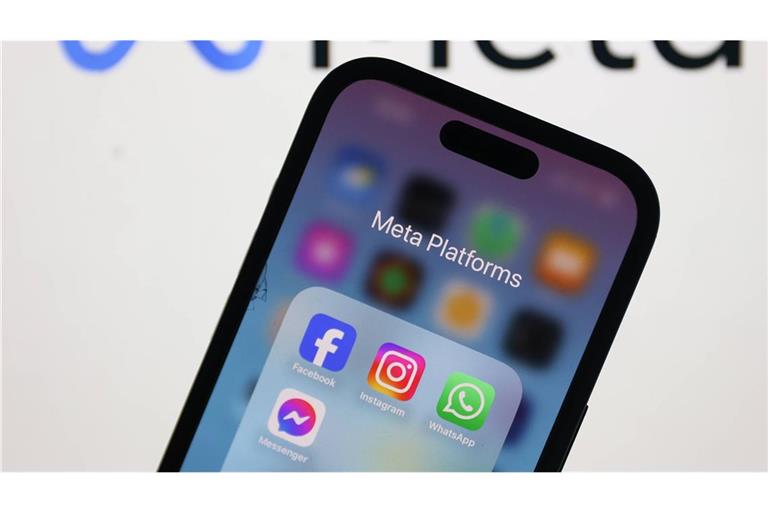 Die LFK hat nach eigenen Angaben bislang mehr als 13.000 automatisiert gefundene potenzielle Verstoß-Inhalte überprüft (Symbolbild).