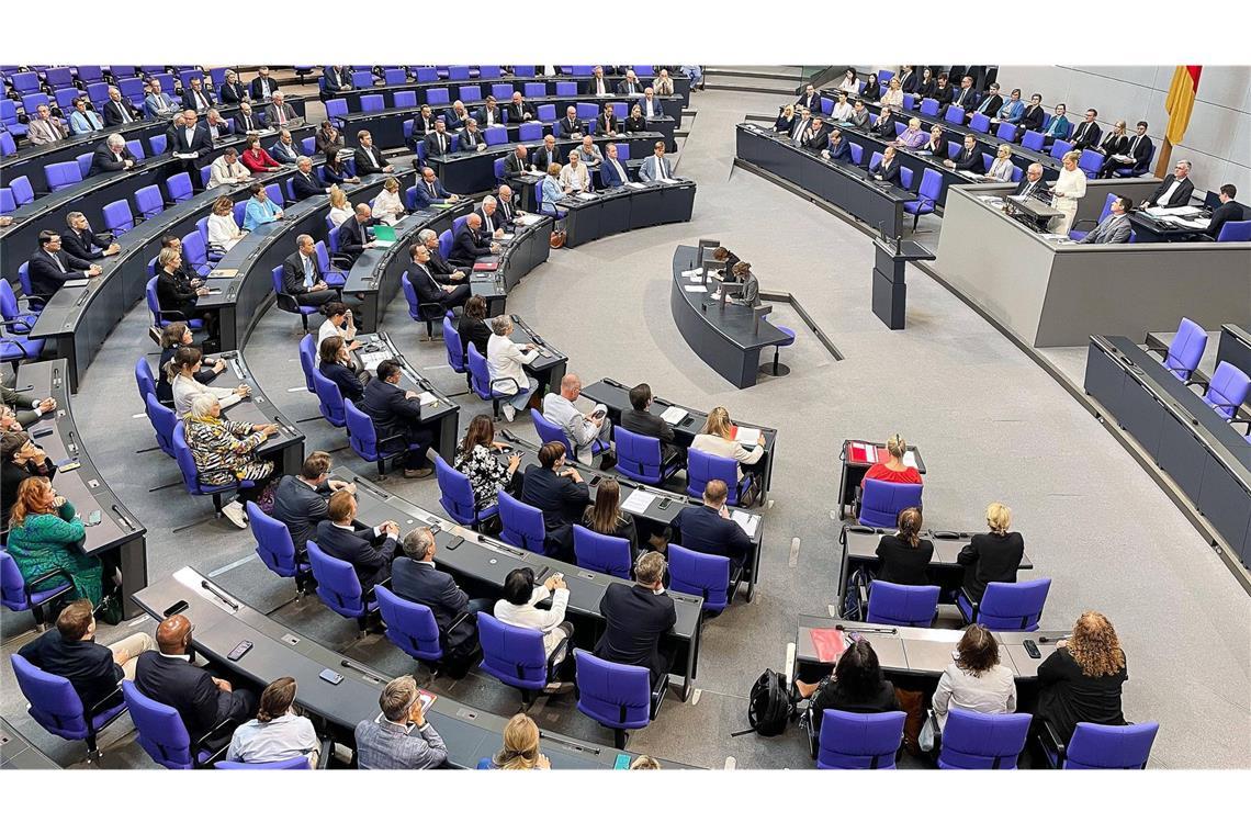 Linke fordert Bundestags-Sondersitzung Die Linke fordert eine Sondersitzung des Bundestags (Symbolfoto)