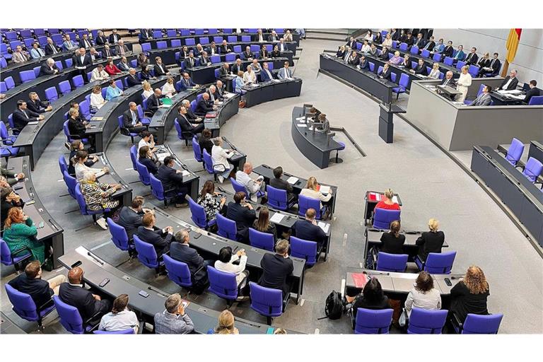 Die Linke fordert eine Sondersitzung des Bundestags (Symbolfoto)