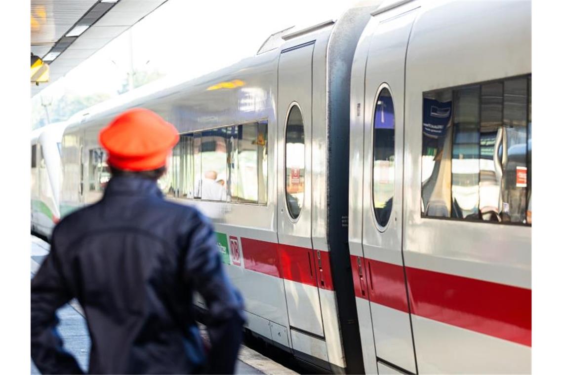 Die Linke ist gegen eine Bahn-Zerschlagung - und plädiert für eine Orientierung am Gemeinwohl. Foto: Michael Matthey/dpa
