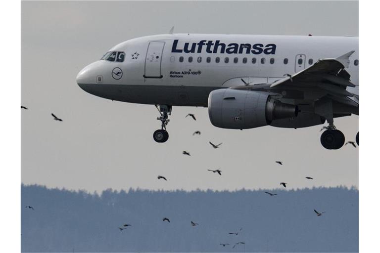Die Lufthansa will in den kommenden Wochen bis zu 50 zusätzliche Flugzeuge reaktivieren. Foto: Boris Roessler/dpa