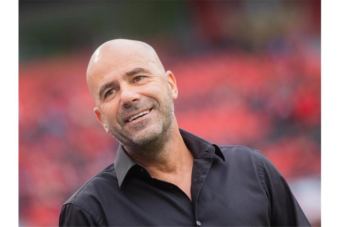 Die Macher bei Bayer Leverkusen sind zufrieden mit der Arbeit von Trainer Peter Bosz. Foto: Rolf Vennenbernd