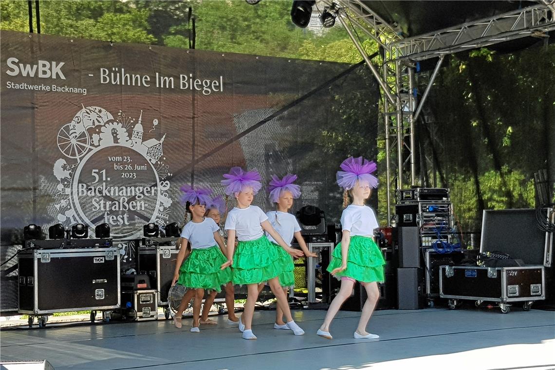 Die Mädchen des Kinder- und Jugendkulturvereins haben auf der Bühne im Biegel ihr Können gezeigt. Foto: privat