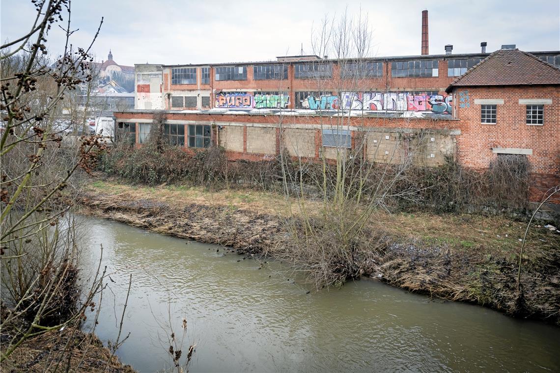 Die Mauern der alten Industriehallen dienen auch dem Hochwasserschutz. Sie dürfen deshalb nicht einfach abgerissen werden. Foto: A. Becher