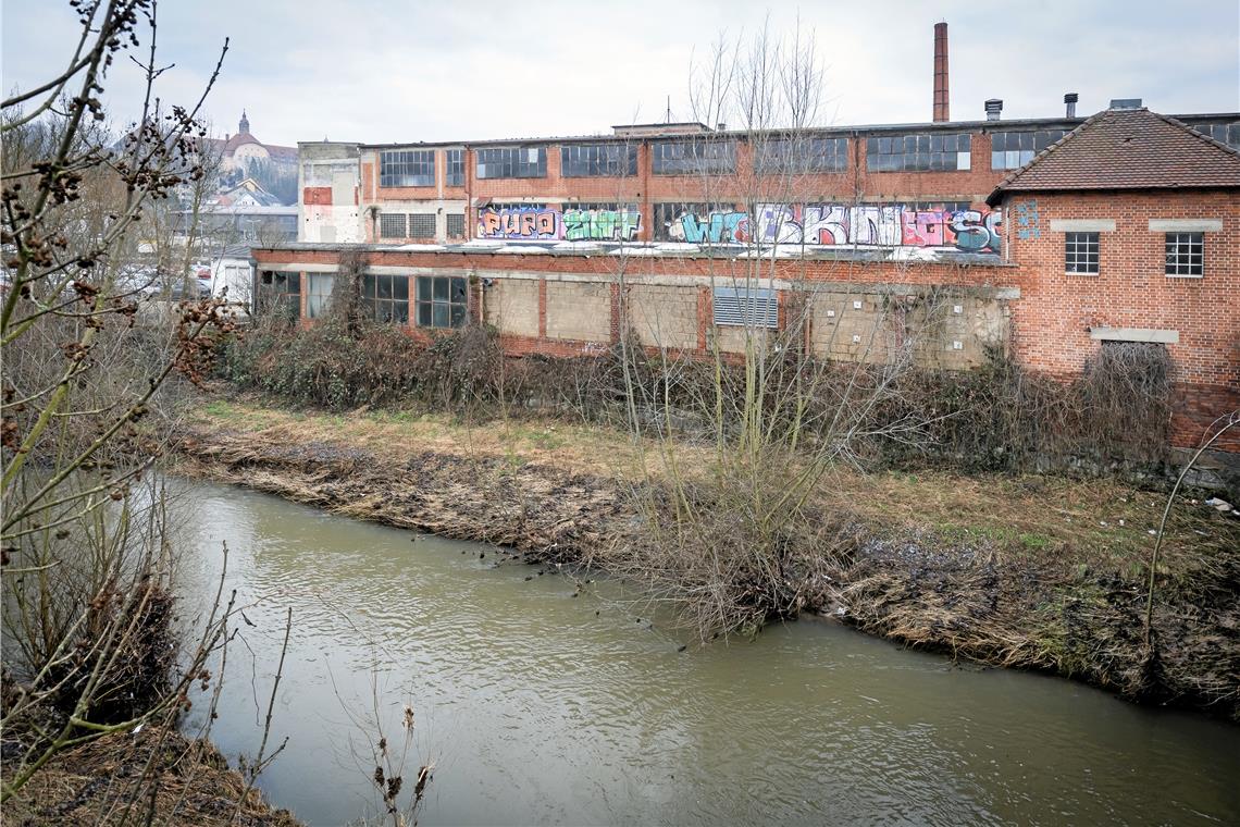 Noch einige Hürden bis zum Baustart Die Mauern der alten Industriehallen dienen auch dem Hochwasserschutz. Sie dürfen deshalb nicht einfach abgerissen werden. Foto: A. Becher