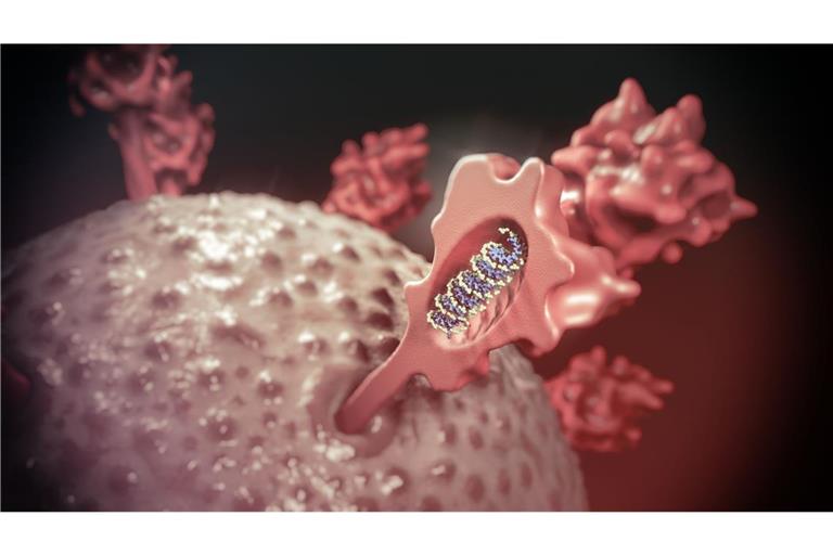 Die Medizin nutzt mRNA-basierte Arzneimittel für Impfstoffe, Gen- und Zelltherapeutika – hochwirksame Arzneimittel gegen Infektions- und Erbkrankheiten und gegen Krebs.
