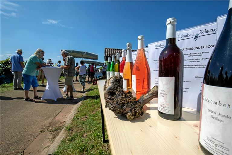 Die meisten Gäste sind tatsächlich durch den Kleinaspacher Weinberg gewandert und haben an den zahlreichen Stationen der WG und der Weingüter Holzwarth, Schwarz und Gruber die tollen Weine, die schöne Aussicht und das vielfältige Essensangebot genossen. „Das macht den Reiz der Veranstaltung aus“, sagt Weinerlebnisführer Joachim Schöffler. Foto: A. Becher