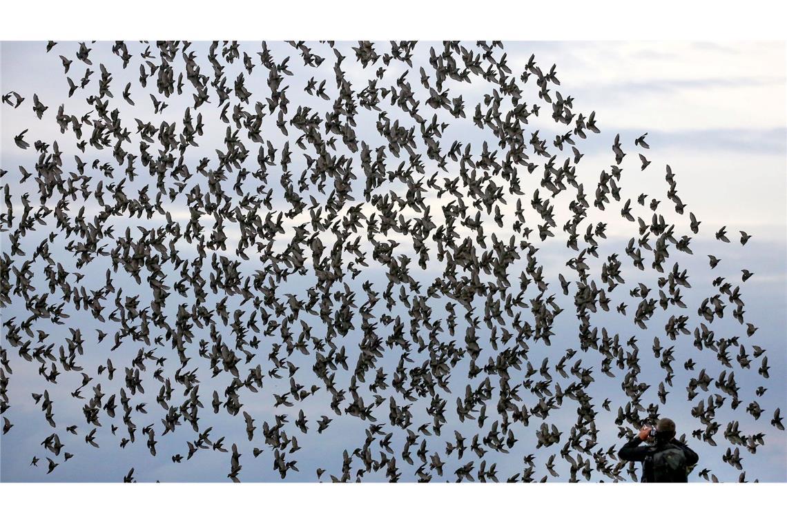 Natur im Fokus - Wenn Fotos Tiere stören Die meisten Menschen halten sich an die Regeln in Naturschutzgebieten und fotografieren Tiere nur von Wegen und Aussichtspunkten aus.