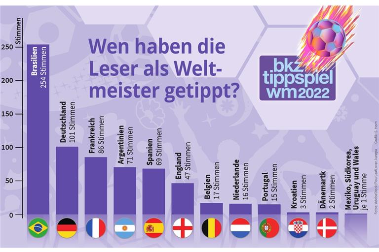 Die meisten Teilnehmer an unserem WM-Tippspiel haben auf Brasilien und Deutschland als neue Titelträger gesetzt.