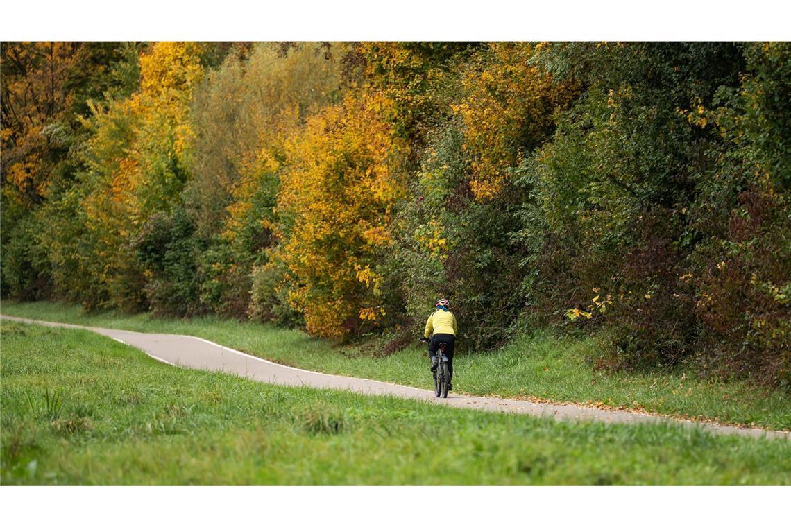 Nebel und Sonne - DWD erwartet trockenes Herbstwetter Die Menschen im Südwesten können sich in den kommenden Tagen weiter auf ein trockenes und ruhiges Herbstwetter einstellen. (Symbolbild)