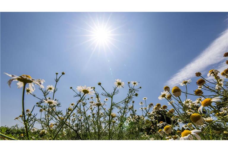 Die Menschen in Baden-Württemberg dürfen sich über viel Sonnenschein freuen. (Symbolfoto)