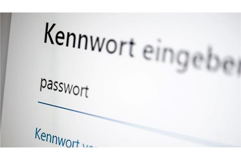 Die Menschen in Deutschland, die sich im Internet bewegen, haben großes Vertrauen in ihre Passwörter, verhalten sich im Alltag aber oft leichtsinnig. (Symbolbild)