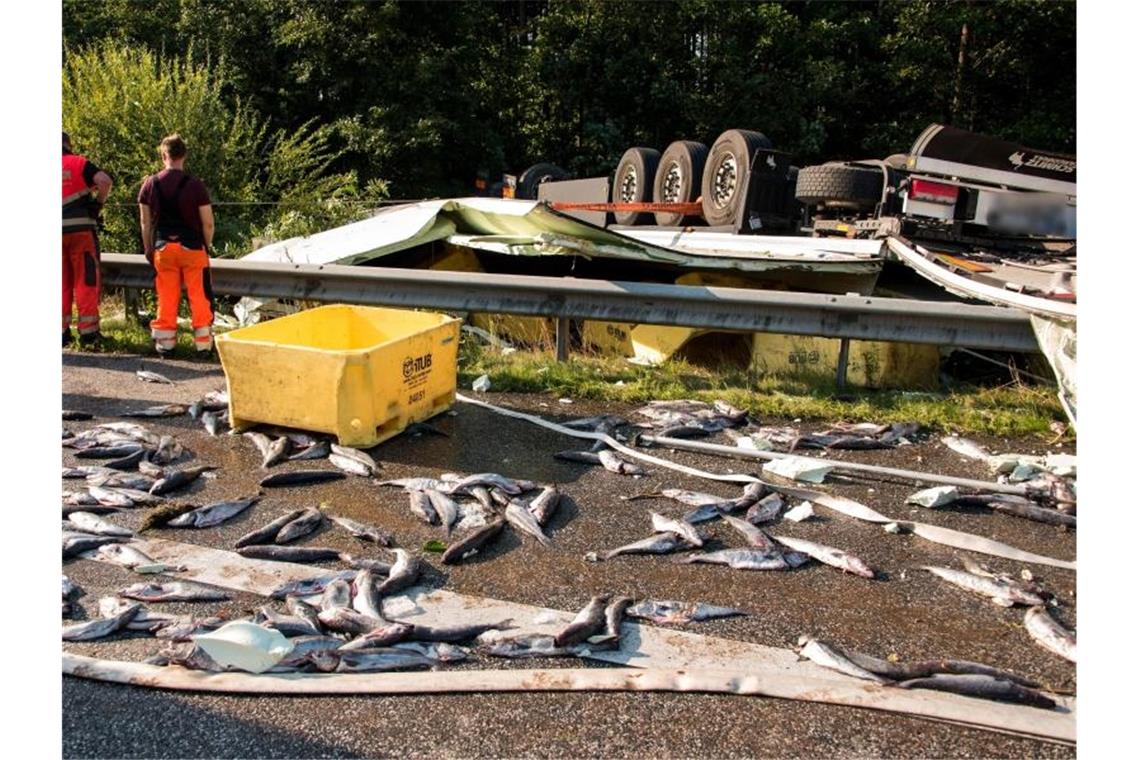 Fahrer stirbt bei Lkw-Unfall Die mit Fisch übersäte Unfallstelle an der Autobahn A24. Der Lastwagen war am Morgen von der Fahrbahn abgekommen und hatte sich dabei überschlagen, der Fahrer kam bei dem Unfall ums Leben. Foto: Daniel Bockwoldt/dpa