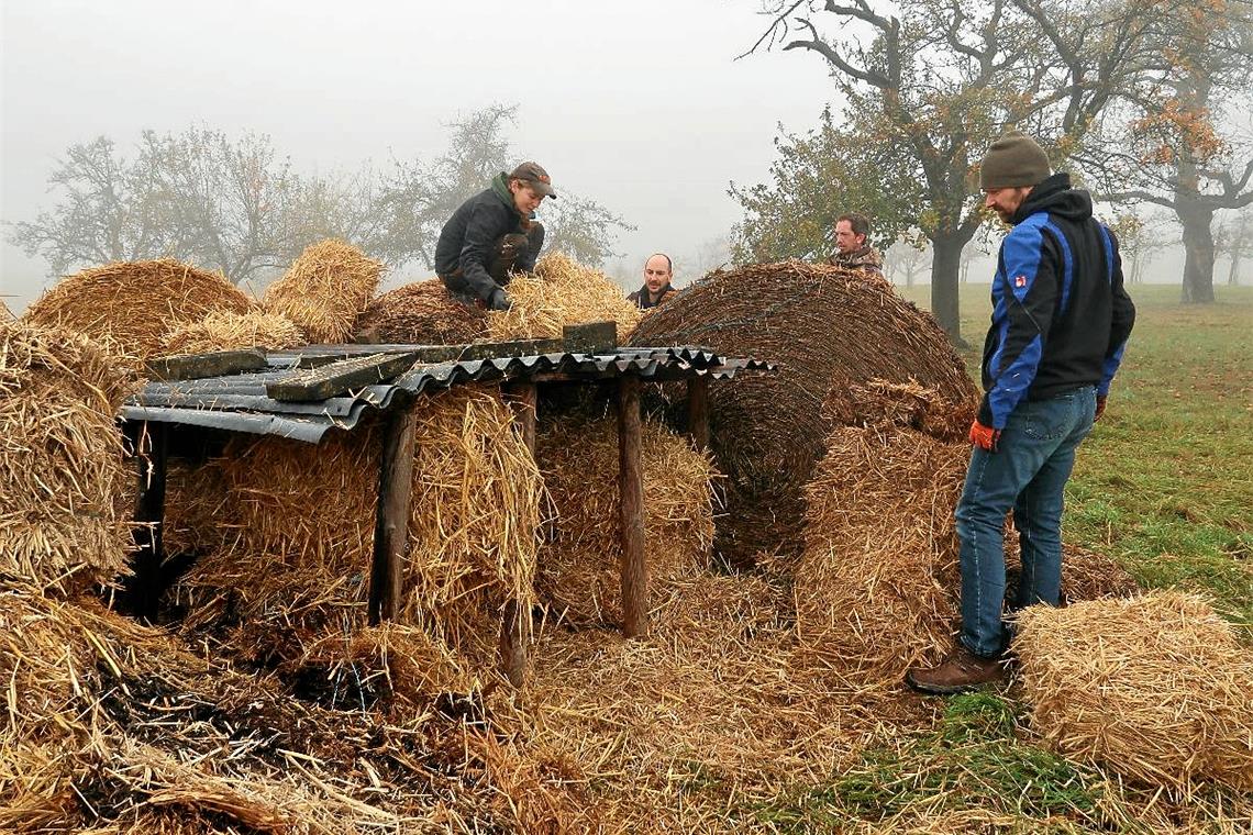 Damit Vögel gut durch den Winter kommen Die Mitglieder der Arbeitsgemeinschaft Artenschutz Aspach haben die Mäuseburg hergerichtet. Fotos: privat